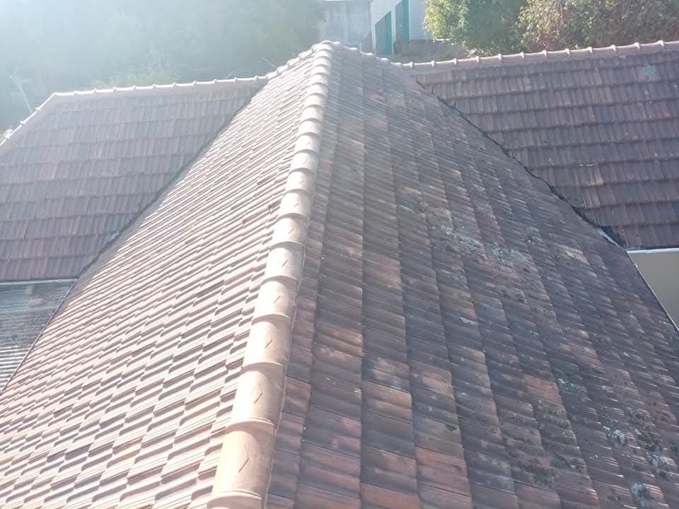 WhatsApp Image 2025-08-20 at 1.26.05 PM (2)